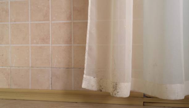 Best Water Damage & Mold Remediation  in Paris, KY